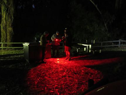 Group in MNP carpark preparing to spotlight with red torches