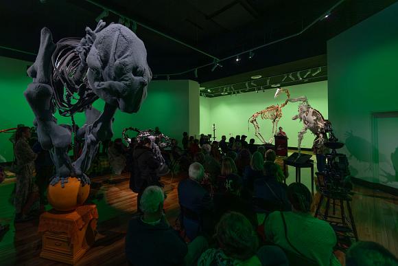 Room with people looking at knitted skeletons