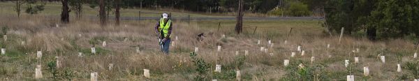 Mathison Park 202106 (2)