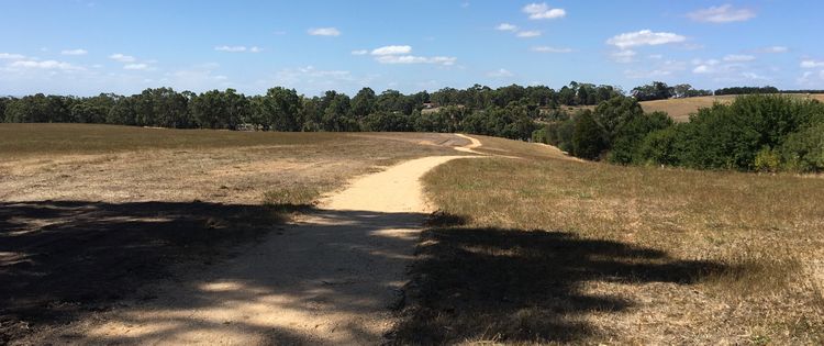 Mathison Park 202203 - New Track