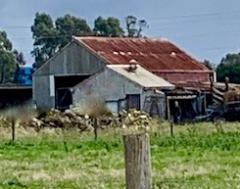 Hazelwood Dairy (1)
