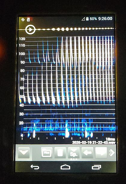 Screen of sonogram showing frequencies of bat calls