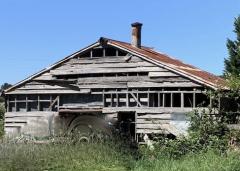 Hazelwood Dairy (2)