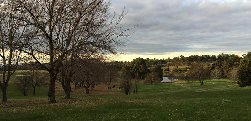 Matheson Park 2208 - Winter Landscape