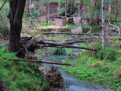 Morwell National Park Creek