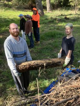Clearing dead wood