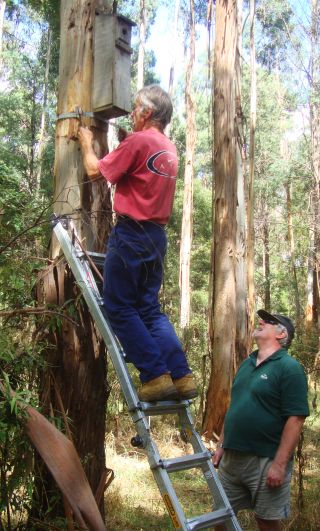 FMNP Nest Box Repair