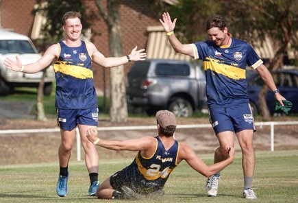 Players celebrate a catch