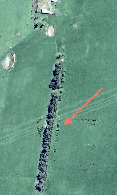 Shows the former wallnut grove on an aerial photo