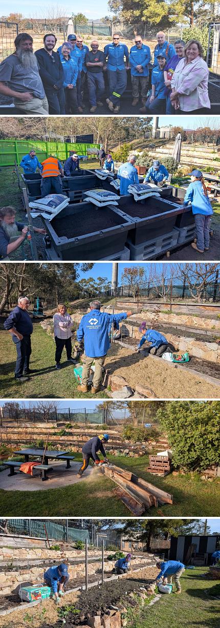 Scenes from the working bee - planting, boxes, the crew.