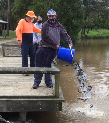 Restocking fish into Mathison Park