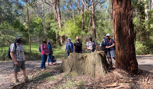 Strezelecki Club members About to start a walk at Morwell National Park