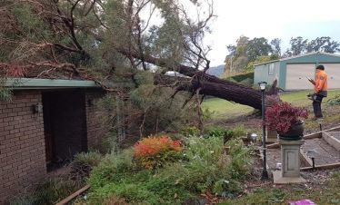 2021 Tree Down on House