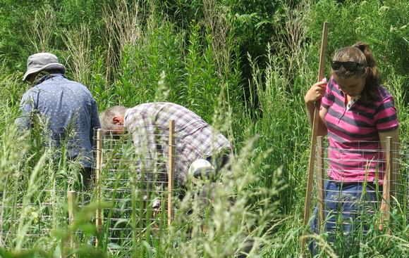 YYS Landcare - Maintain Planting Site In Spring !